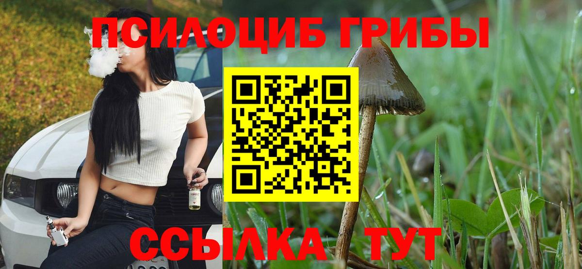 Галлюциногенные грибы GOLDEN TEACHER Новотроицк