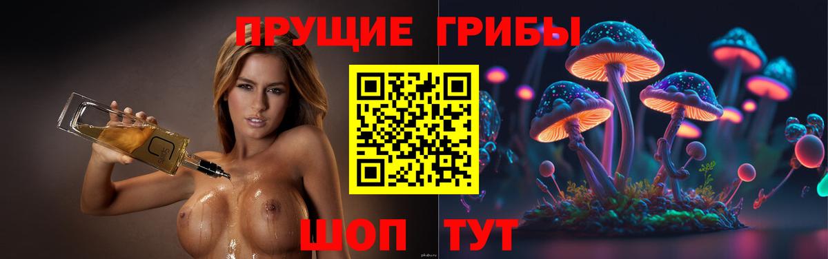 Новотроицк  Галлюциногенные грибы прущие грибы  Псилоцибиновые грибы Magic Shrooms  Вход с VPN 